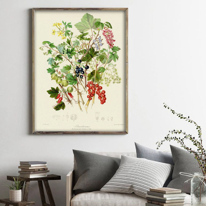 Botanical Collection Vintage P - Vintage Collectible Posters review and price